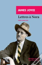 Capa do artigo Lettres A Nora