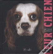 Leur Chien