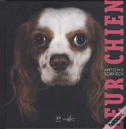 Capa do artigo Leur Chien