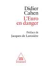 L'Euro En Danger - Preview
