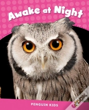 Capa do artigo Level 2: Awake At Night Clil