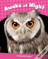 Level 2: Awake At Night Clil