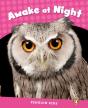 Level 2: Awake At Night Clil - Preview