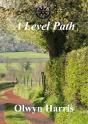 Level Path - Preview