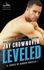 Leveled - Preview