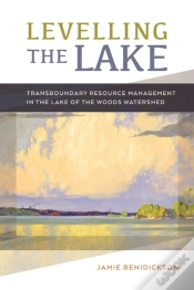 Capa do artigo Levelling The Lake
