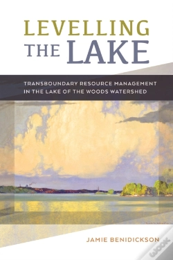 Capa do artigo Levelling The Lake