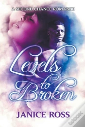 Capa do artigo Levels To Broken