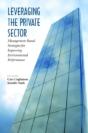Leveraging The Private Sector - Preview