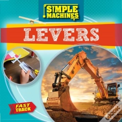 Capa do artigo Levers