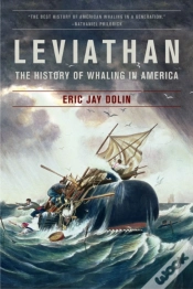 Capa do artigo Leviathan
