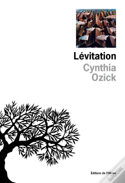 Capa do artigo Levitation