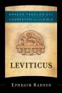 Leviticus (Brazos Theological Commentary On The Bible) - Preview