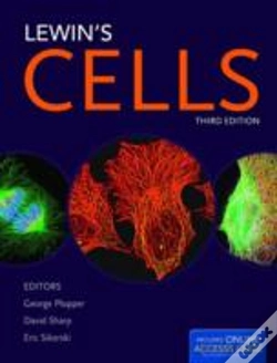 Capa do artigo Lewin'S Cells