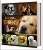 Lexiguide Des Chiens - Preview