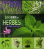 Lexiguide Des Herbes Et Plantes Aromatiques - Preview