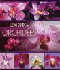 Lexiguide Des Orchidees - Preview