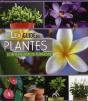 Lexiguide Des Plantes D'Intérieur Et De Terrasse - Preview