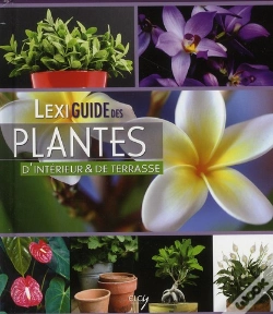 Capa do artigo Lexiguide Des Plantes D'Intérieur Et De Terrasse