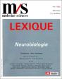 Lexique De Neurobiologie - Preview