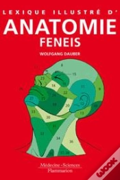 Capa do artigo Lexique Illustré D