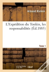 L'Expedition Du Tonkin, Les Responsabilites