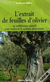 L'Extrait De Feuilles D'Olivier ; Un Antibiotique Naturel Pour Renforcer Les Système Immunitaire