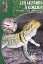 Lézards À Collier - Le Genre Crotaphytus - Preview