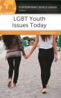 Lgbt Youth Issues Today - Preview
