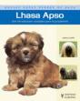 Lhasa Apso - Preview