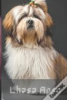 Lhasa Apso