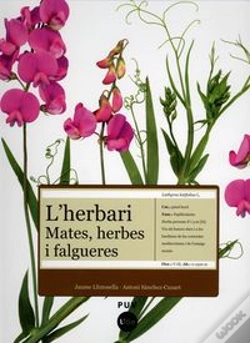 Capa do artigo L'Herbari