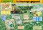 L'Herbe, Le Fourrage Gagnant ? - Preview