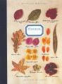 L'Herbier - Preview