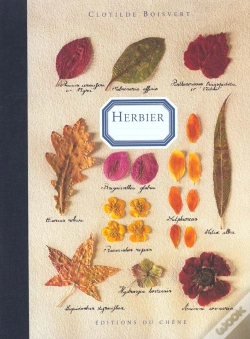 Capa do artigo L'Herbier