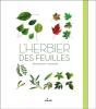 L'Herbier Des Feuilles - Preview