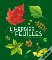 L'Herbier Des Feuilles
