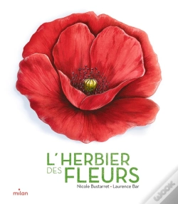 Capa do artigo L'Herbier Des Fleurs