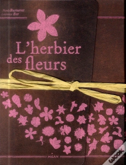 Capa do artigo L'Herbier Des Fleurs