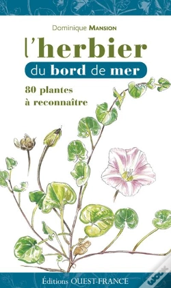 Capa do artigo L'Herbier Du Bord De Mer ; 80 Plantes A Reconnaitre