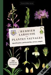 L'Herbier Larousse Des Plantes Sauvages : Identification, Particularités, Vertus, Usages