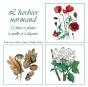 L'Herbier Normand - Preview