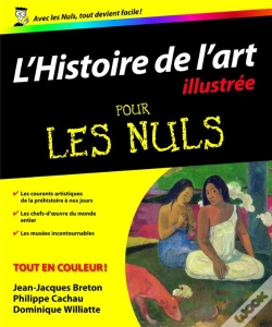 Capa do artigo L'Histoire De L'Art Illustrée Pour Les Nuls