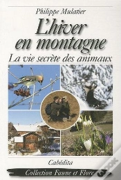 Capa do artigo L