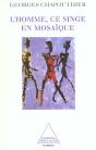 L'Homme Ce Singe En Mosaique - Preview