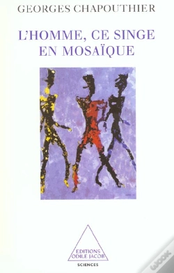 Capa do artigo L'Homme Ce Singe En Mosaique