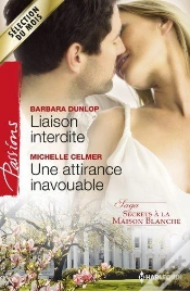 Capa do artigo Liaison Interdite - Une Attirance Inavouable