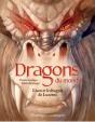 Liam Et Le Dragon De Lucerne - Preview