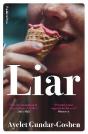 Liar - Preview
