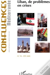 Liban, De Problèmes En Crises (Été 2009)